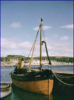 Puffer_Saxon_1963.jpg