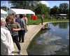 Wicksteed008.JPG
