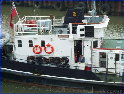 DCP_4435.JPG