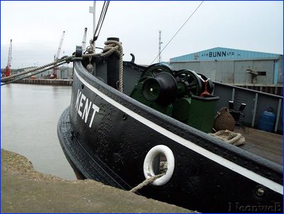 DCP_4470.JPG
