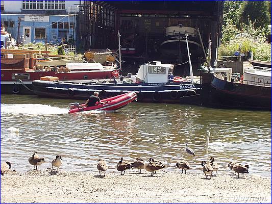 Thames_28.JPG