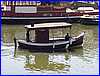 Thames_14.JPG