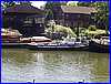 Thames_18.JPG