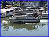 Thames_24.JPG