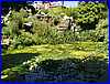 Thames_33.JPG