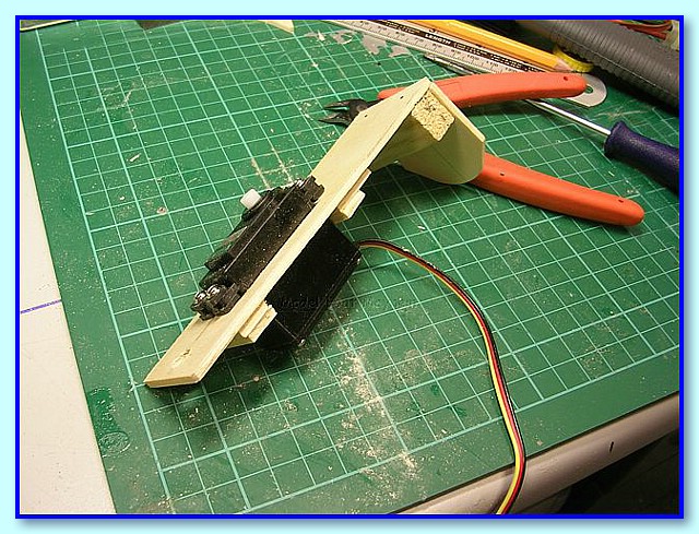 Springer_045.JPG