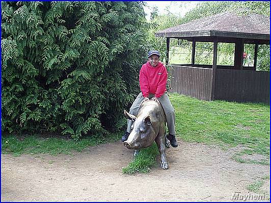 Park 094.JPG