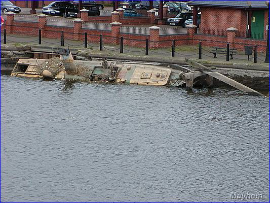 Ellesmere 11.JPG