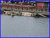 Ellesmere 11.JPG
