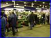 Midlands04221.JPG
