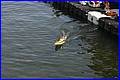 Weymouth-2006_065.JPG