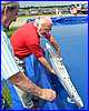 WingsWheels_2006_180.jpg