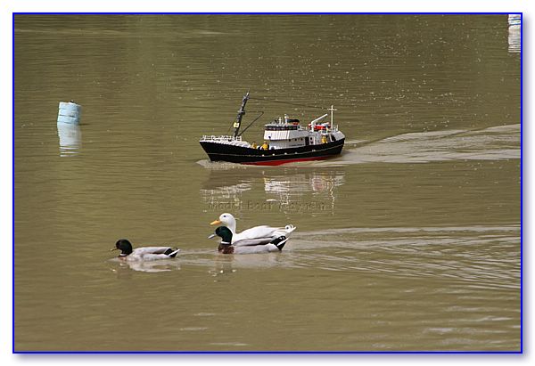 Alford07-230.jpg