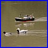 Alford07-230.jpg