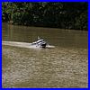 Alford07-434.jpg