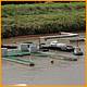 Balne_Moor_060.JPG