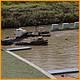Balne_Moor_065.JPG