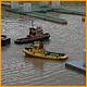 Balne_Moor_070.JPG
