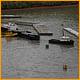 Balne_Moor_079.JPG