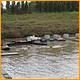 Balne_Moor_128.JPG