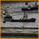 Balne_Moor_145.JPG