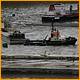 Balne_Moor_146.JPG