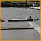 Balne_Moor_157.JPG