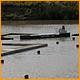 Balne_Moor_169.JPG