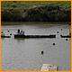 Balne_Moor_181.JPG
