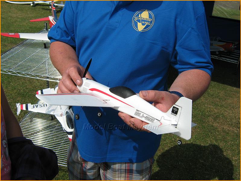 WIngsWheelsr2009-403.JPG