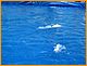w&w2010_358.JPG