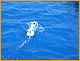 w&w2010_359.JPG