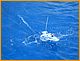w&w2010_361.JPG