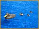 w&w2010_375.JPG