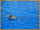 w&w2010_377.JPG