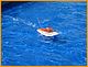 w&w2010_448.JPG